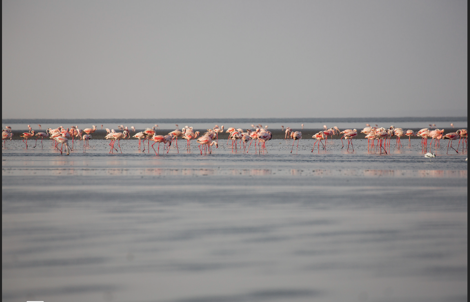 Lake Natron Stunning Aerial View